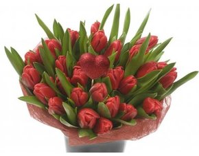 Frederique's Choice Strauß rote Tulpen MeinPaket